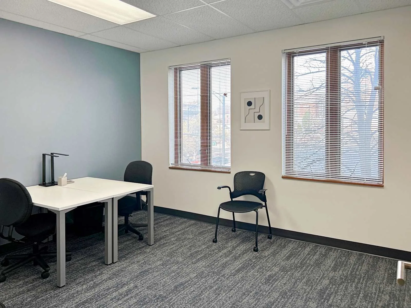 HQ IL, Champaign – N. Randolph St, Private office, 2 desks, Champaign, IL