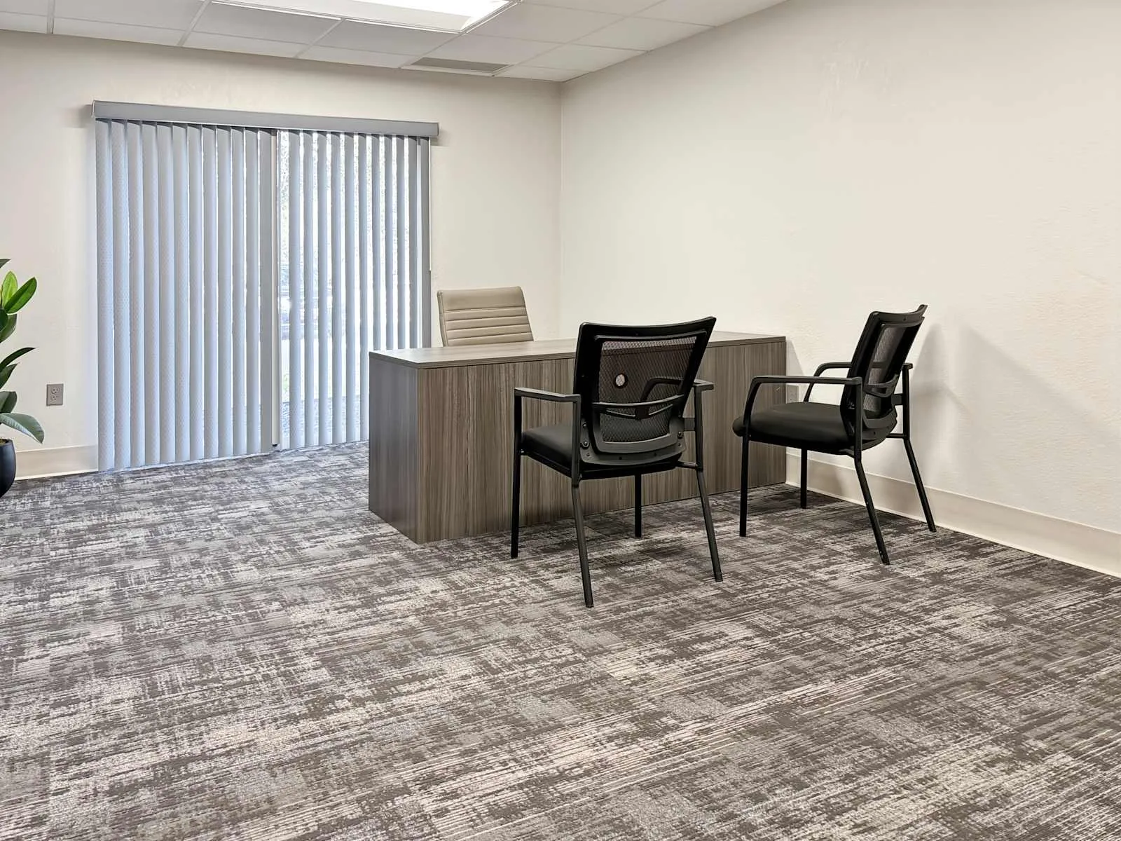 HQ FL, Jacksonville - 4110 Southpoint Blvd, Private office, 1 desk, Jacksonville, FL
