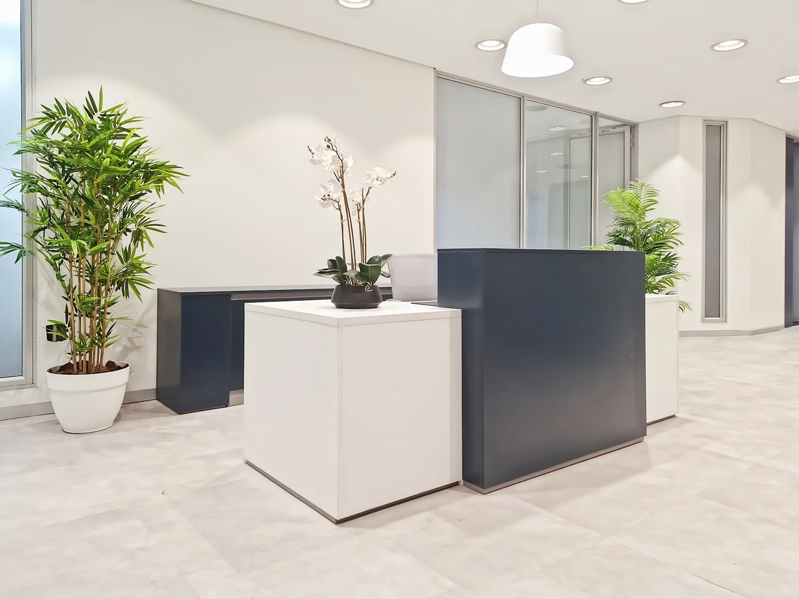 HQ Johannesburg, Killarney Mall, Reception, Johannesburg