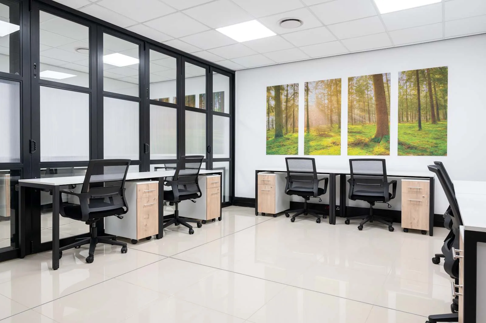 HQ Johannesburg, Northriding – Northlands, Private office, 6 desks, Randburg