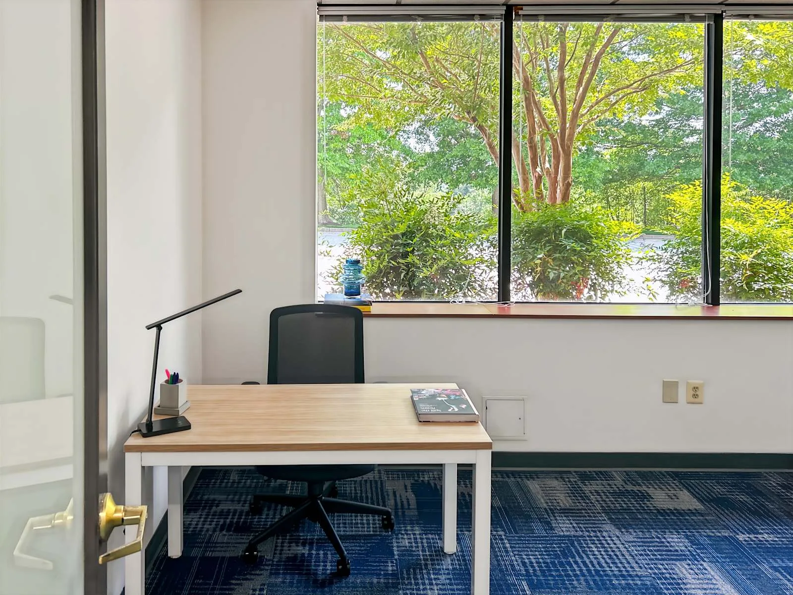 HQ MD, Owings Mills - Red Run Blvd, Private office, 1 desk, Owings Mills, MD