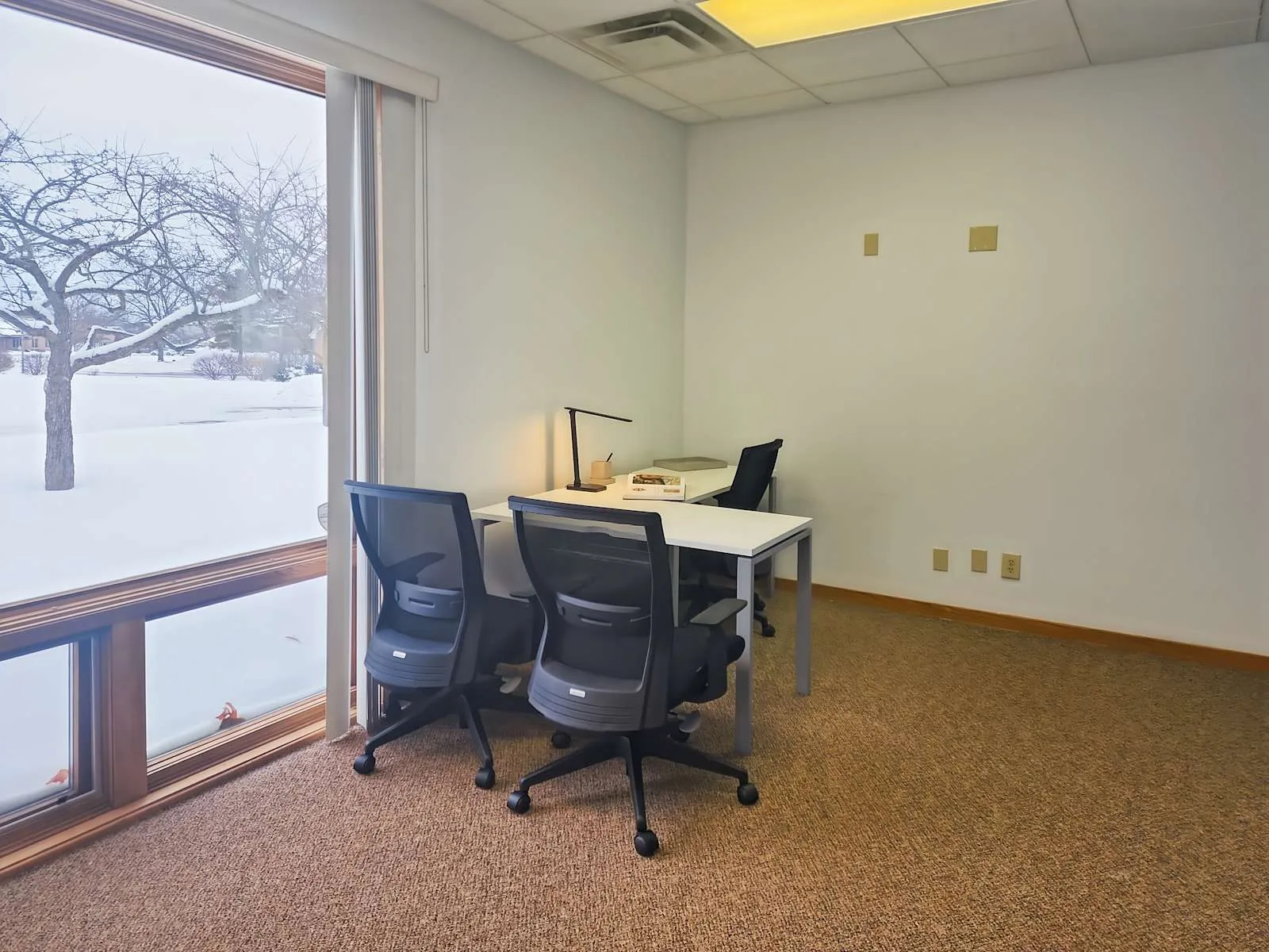 HQ MI, Okemos - Woodlake Circle, Private office, 3 desks, Okemos, MI