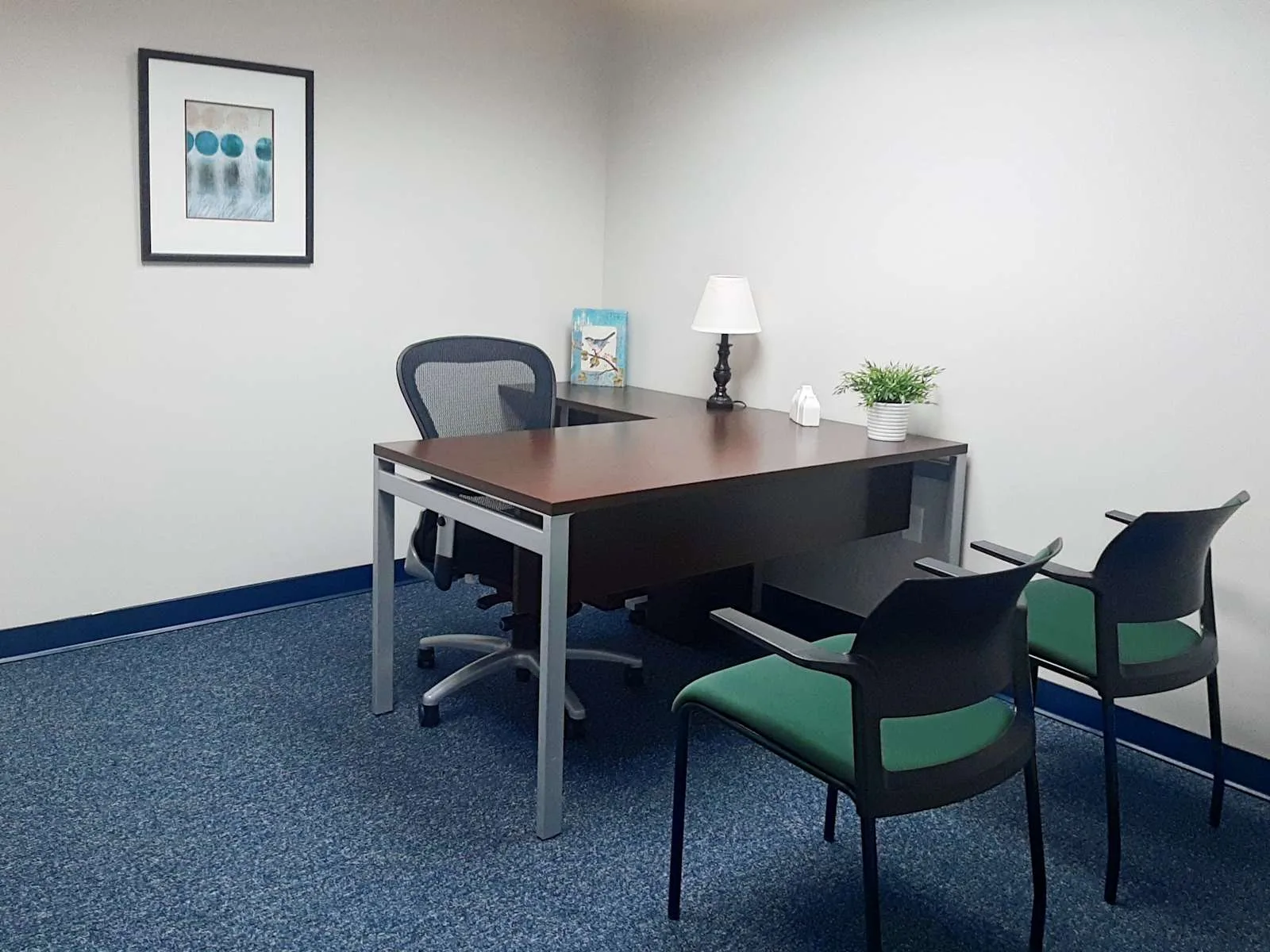 HQ NC, Asheville - Biltmore Ave, Private office, 1 desk, Asheville, NC