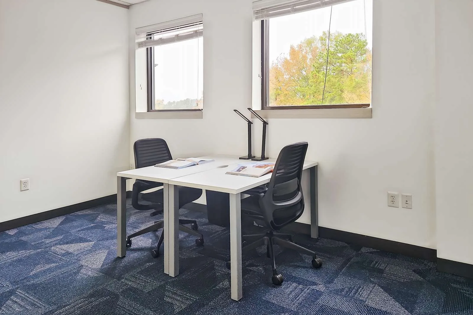 HQ NC, Raleigh - Pleasant Valley Rd, Private office, 2 desks, Raleigh, NC