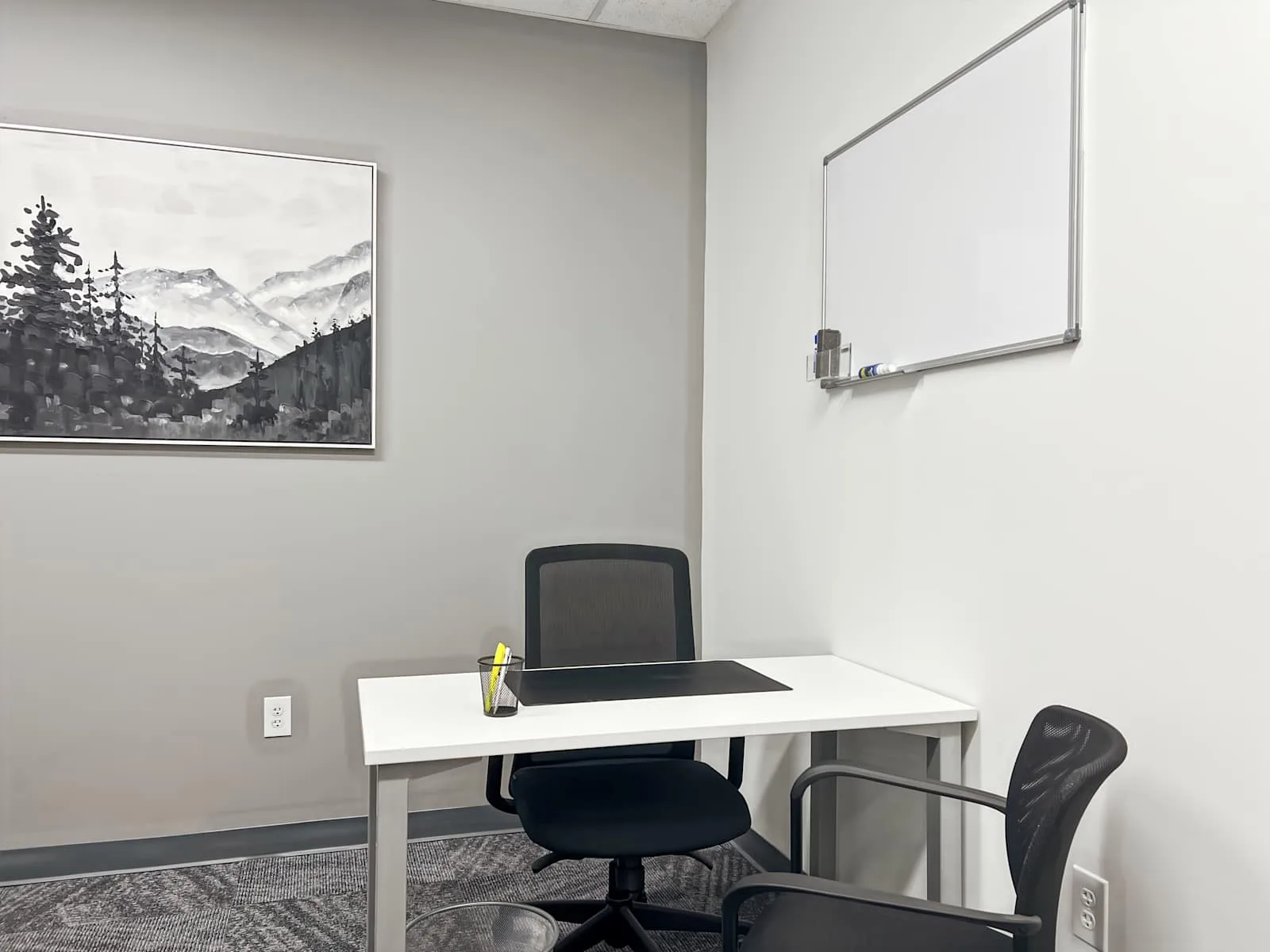 HQ NJ, Hillsborough - Raider Boulevard, Private office, 1 desk, Hillsborough, NJ
