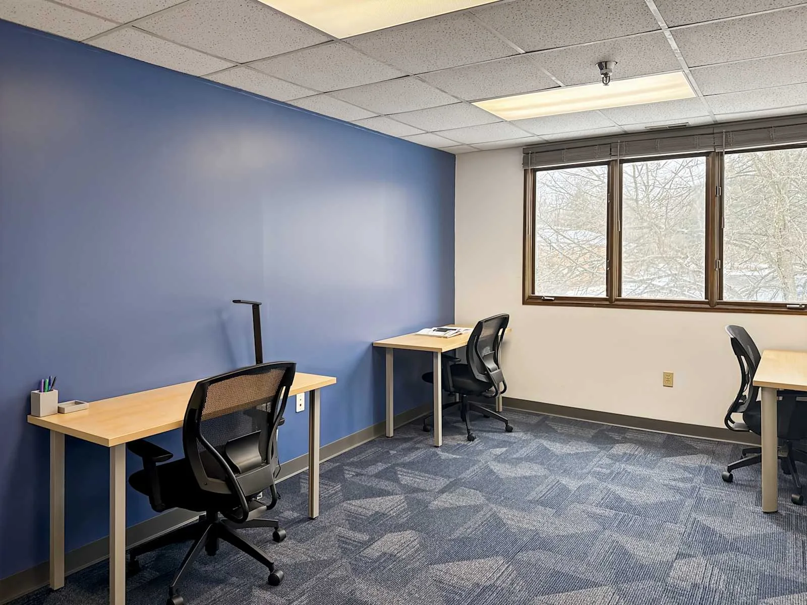 HQ PA, Upper St. Clair - Boyce Plaza, Private office, 3 desks, Bridgeville, PA