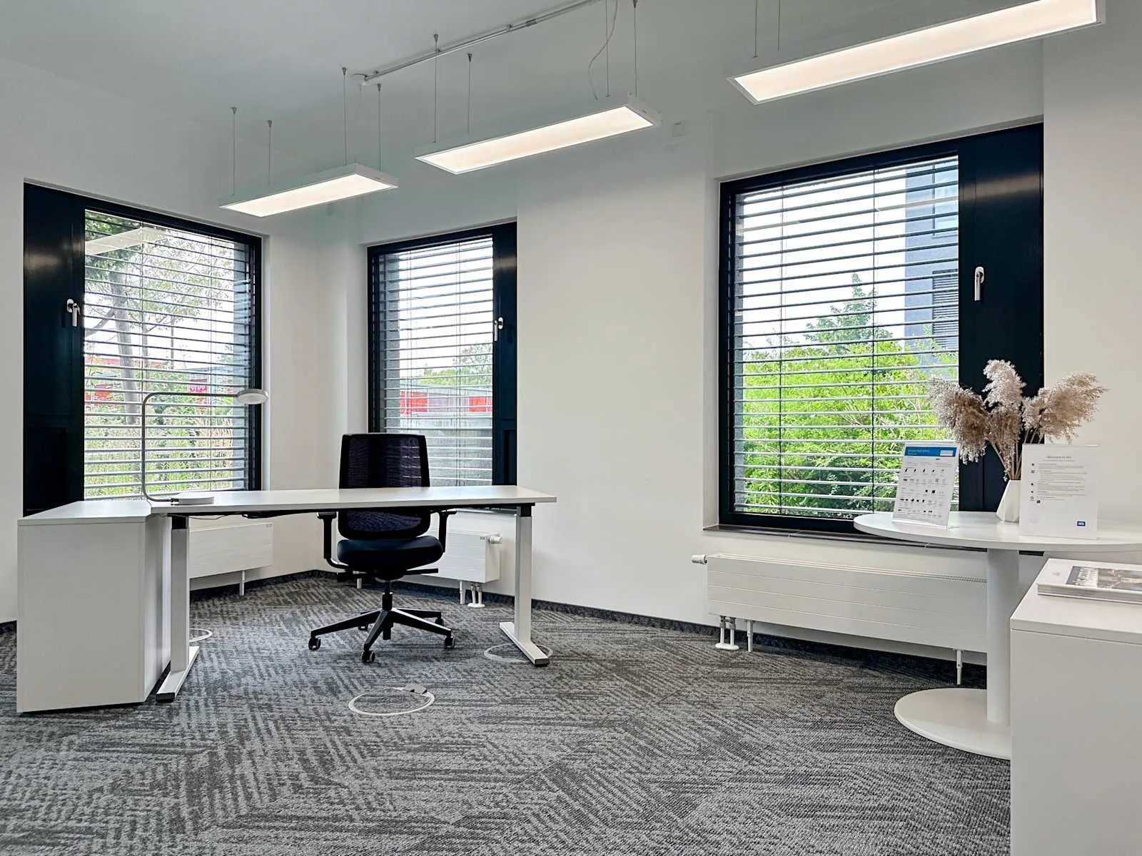 HQ TELTOW, HQ Teltow, Private office, 1 desk, Teltow