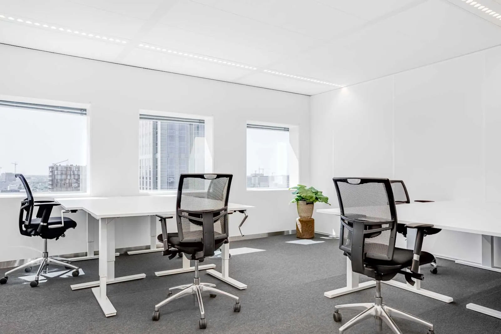 The Office Operators ROTTERDAM, TOO Delftse Poort, Private office, 4 desks, Rotterdam