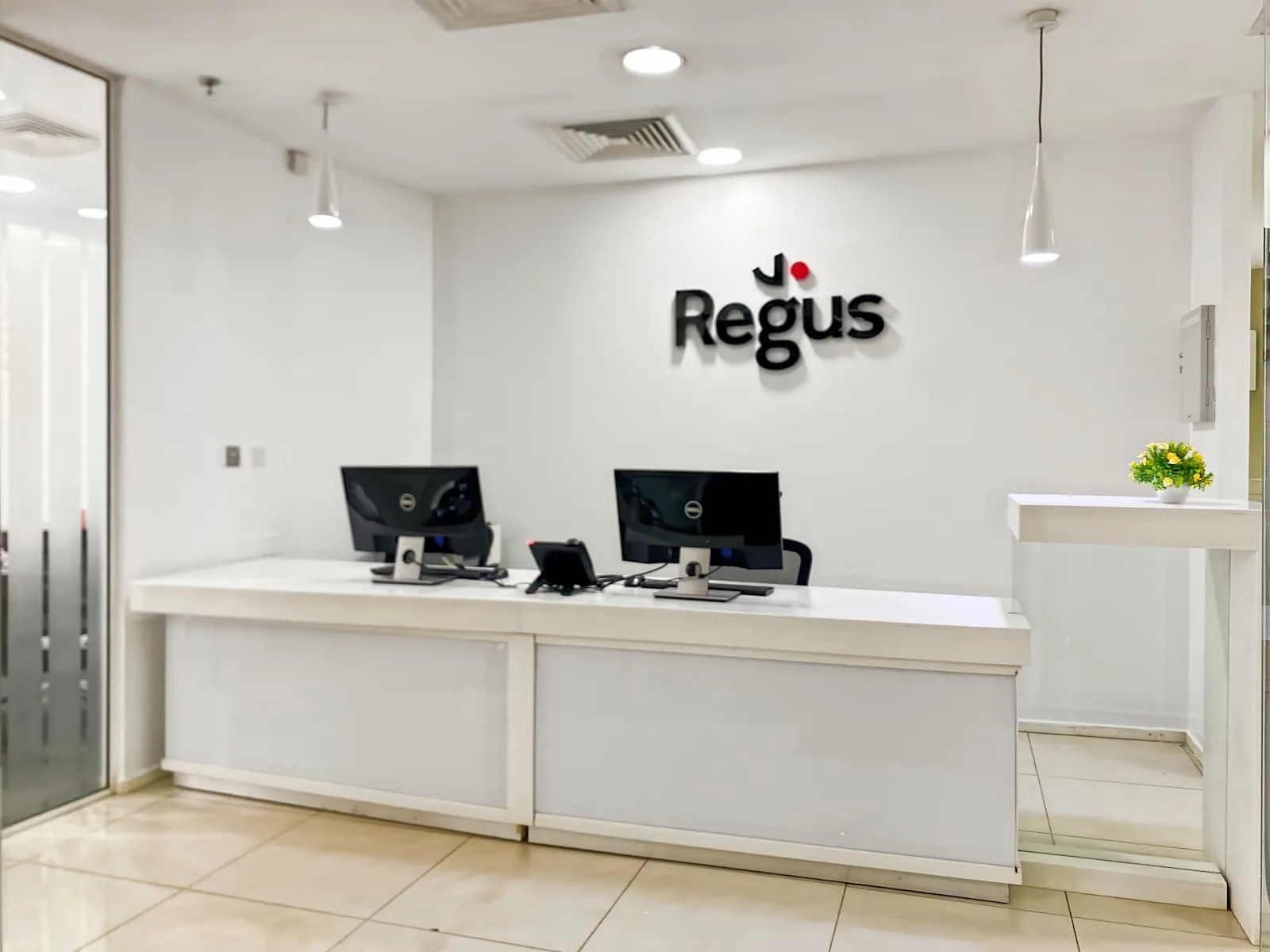 Regus ABUJA, Constitution Avenue, Reception, Abuja