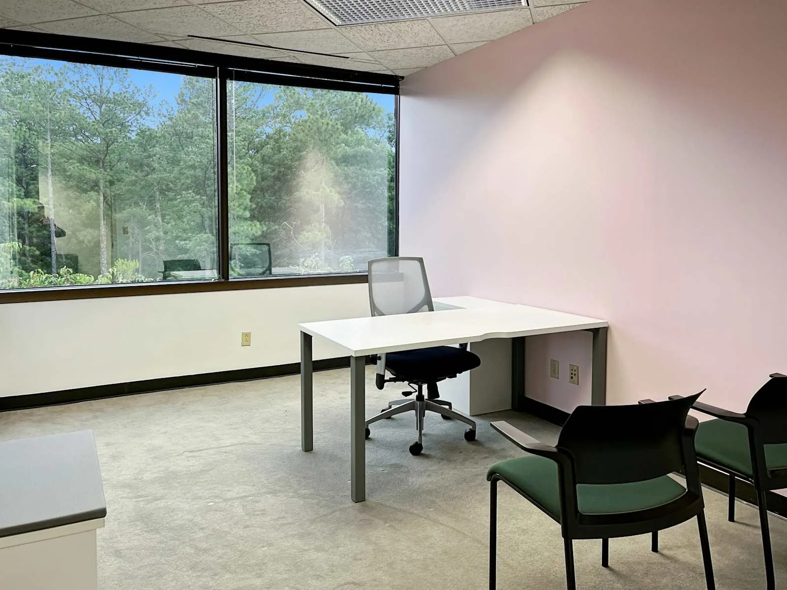 Regus AL, Birmingham - SouthBridge (HQ), Private office, 1 desk, Birmingham, AL