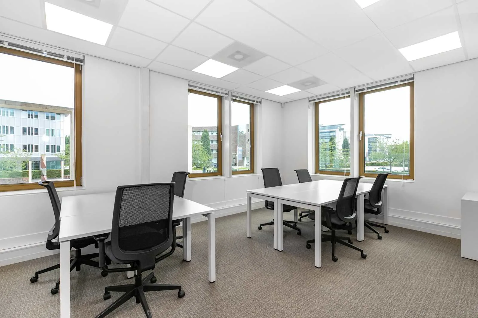 Regus ARNHEM, Business Park, Bureau privatif 8 postes, Arnhem