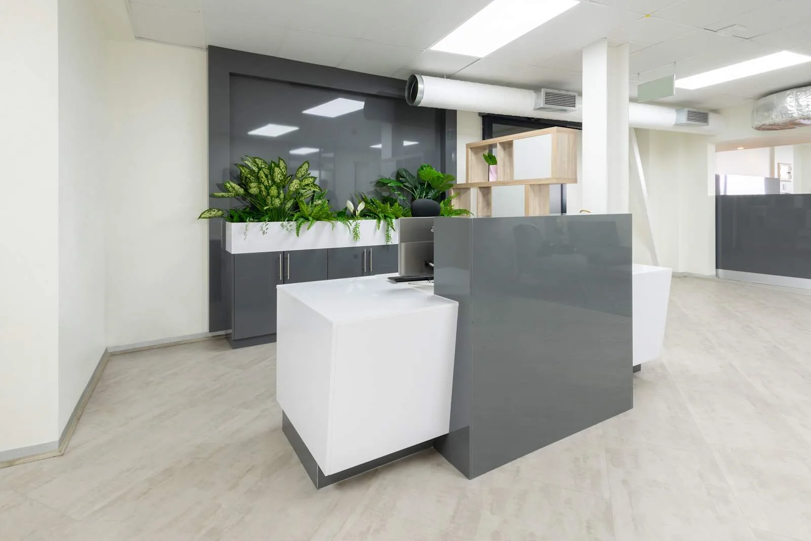 Regus Ballito, Ingenuity Park, Reception, Ballito