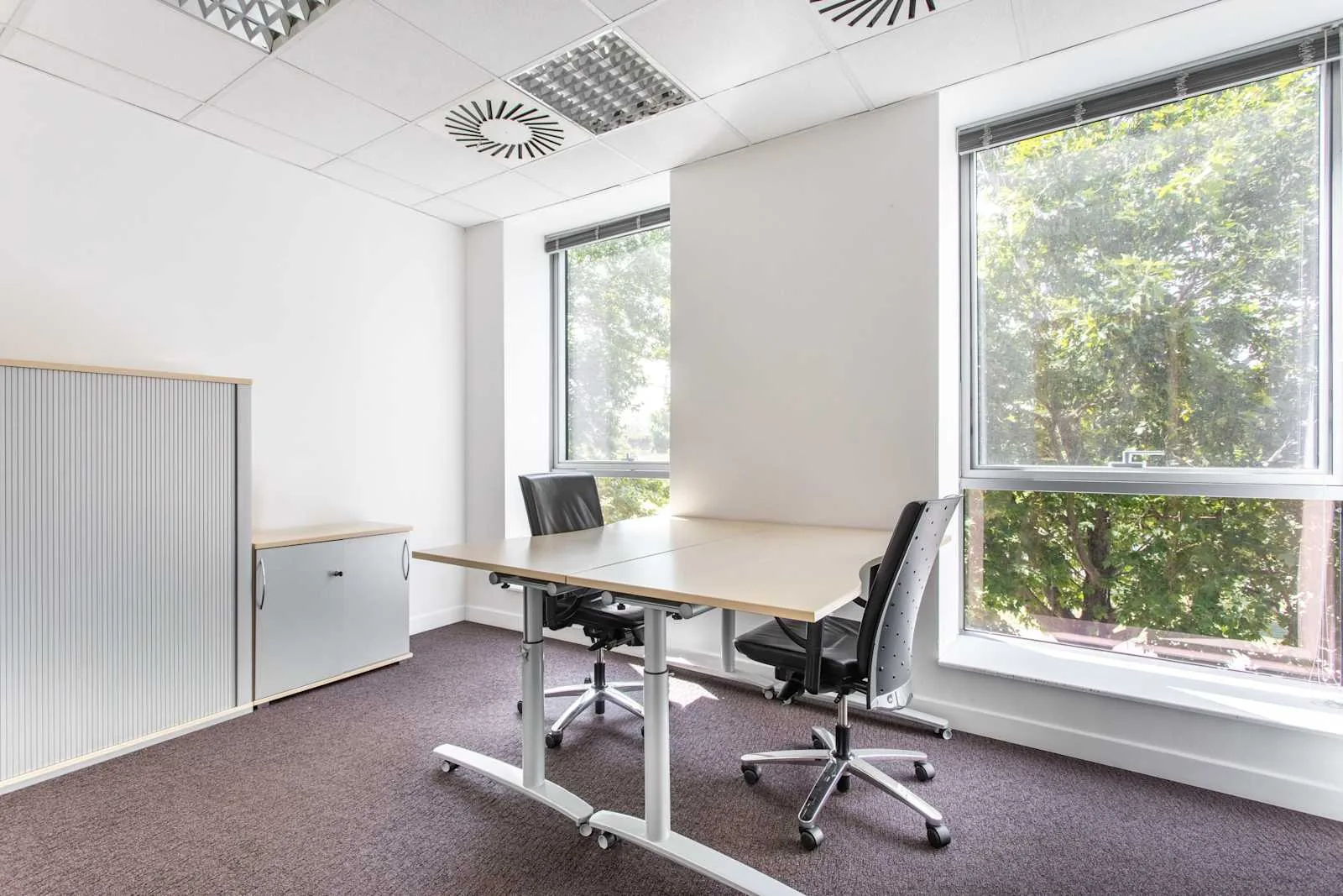 Regus BELGRADE, New Town, Private office, 2 desks, Beograd