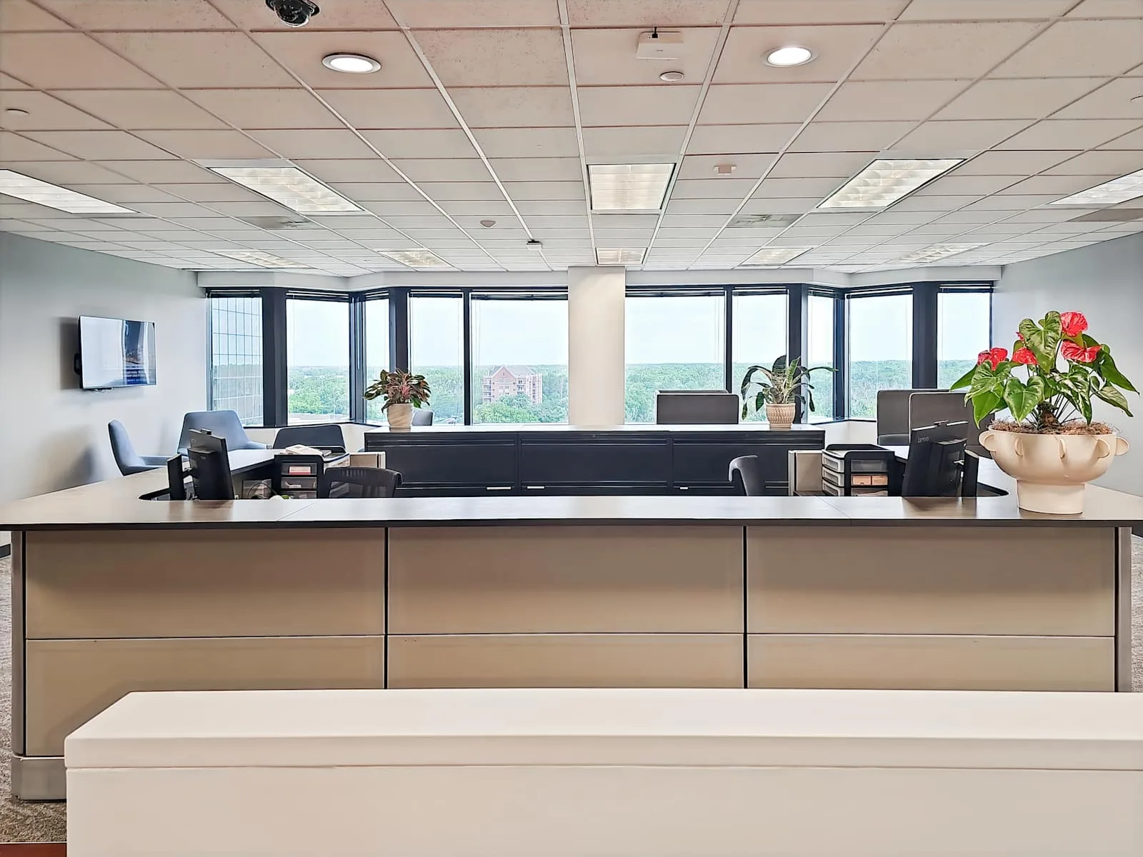 Regus IL, Buffalo Grove - E Lake Cook Rd, Reception, Buffalo Grove, IL