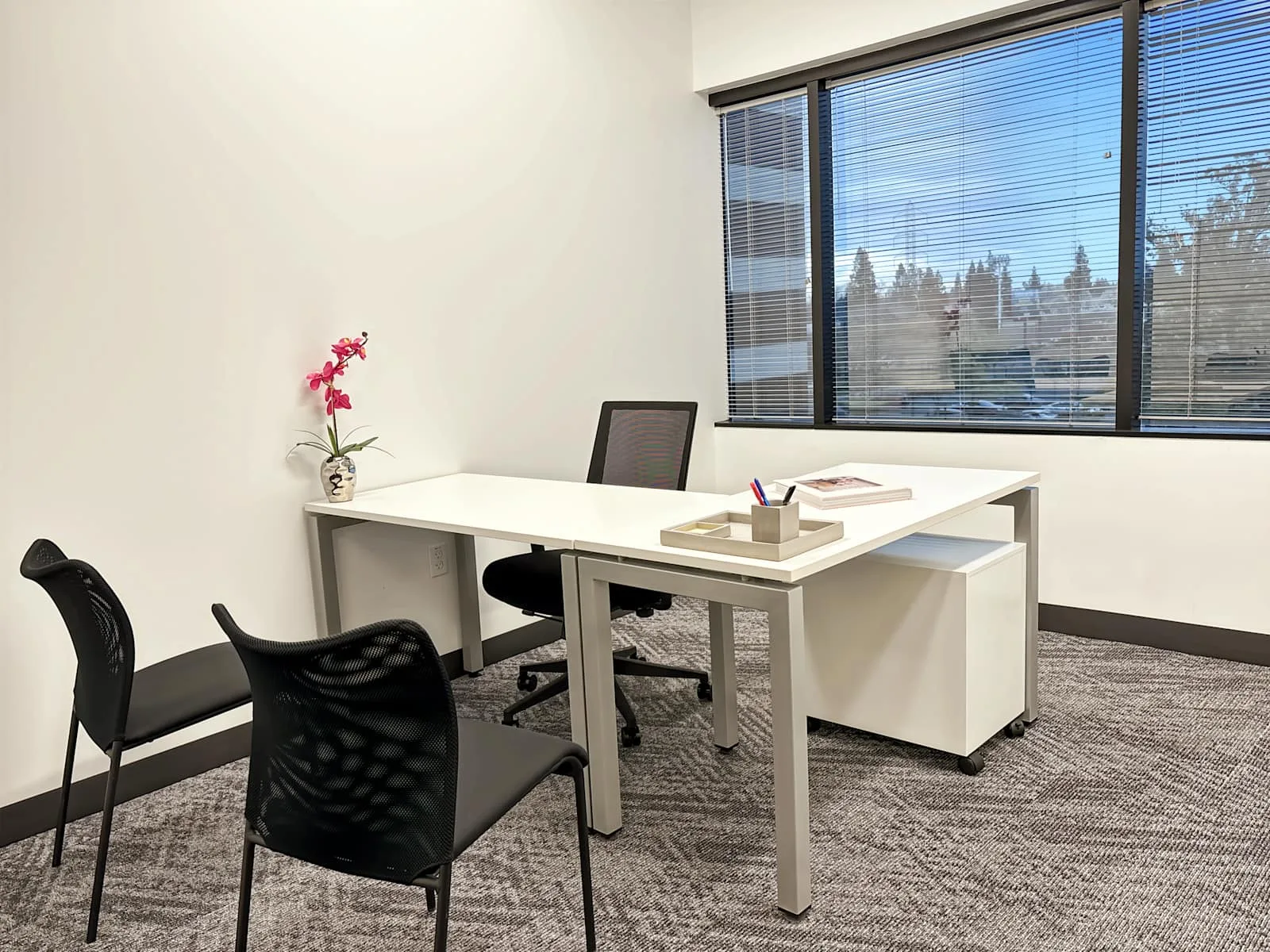 Regus CA, Sacramento - 1750 Howe, Private office, 1 desk, Sacramento, CA