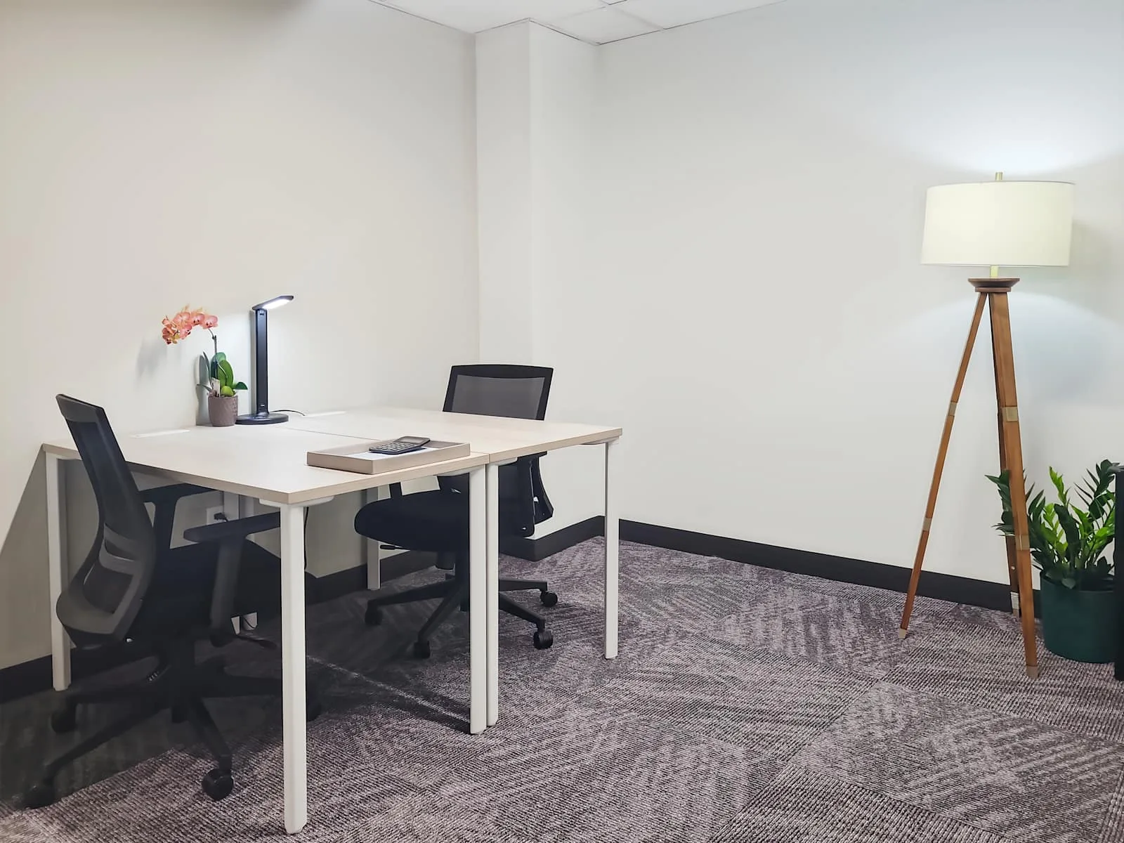 Regus CO, Longmont- Terry St, Private office, 2 desks, Longmont, CO