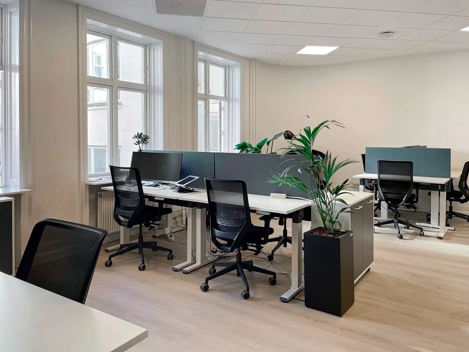 Regus Copenhagen, Ny Christiansborg, Open-plan office, Copenhagen