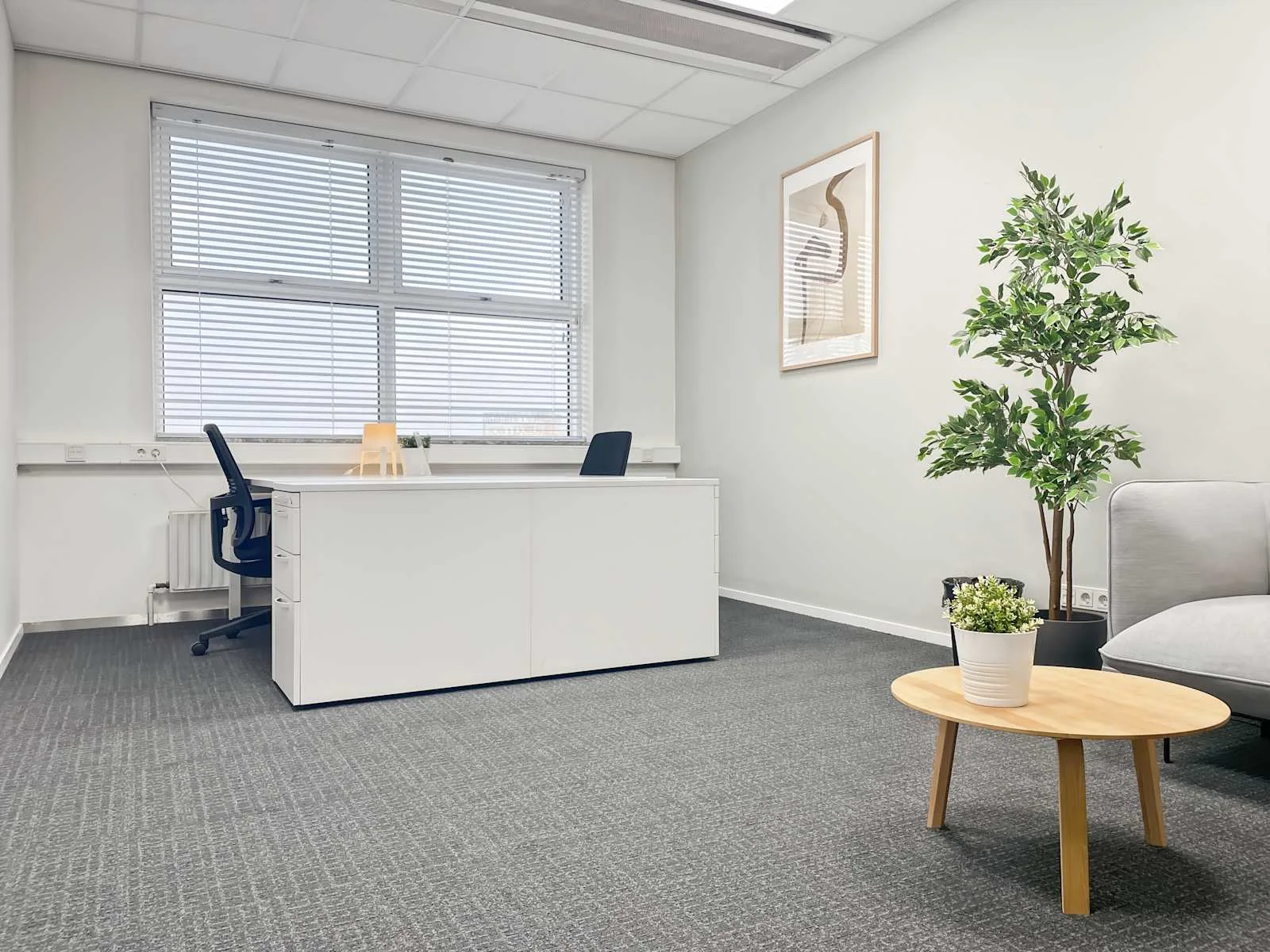 Regus DEN BOSCH, Pettelaarpark, Private office, 2 desks, Den Bosch