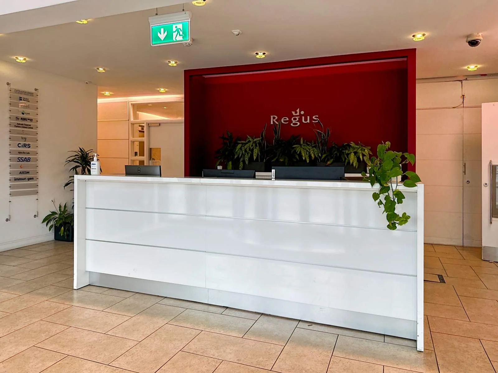Regus DUBLIN, 2 Harcourt, Reception, Dublin