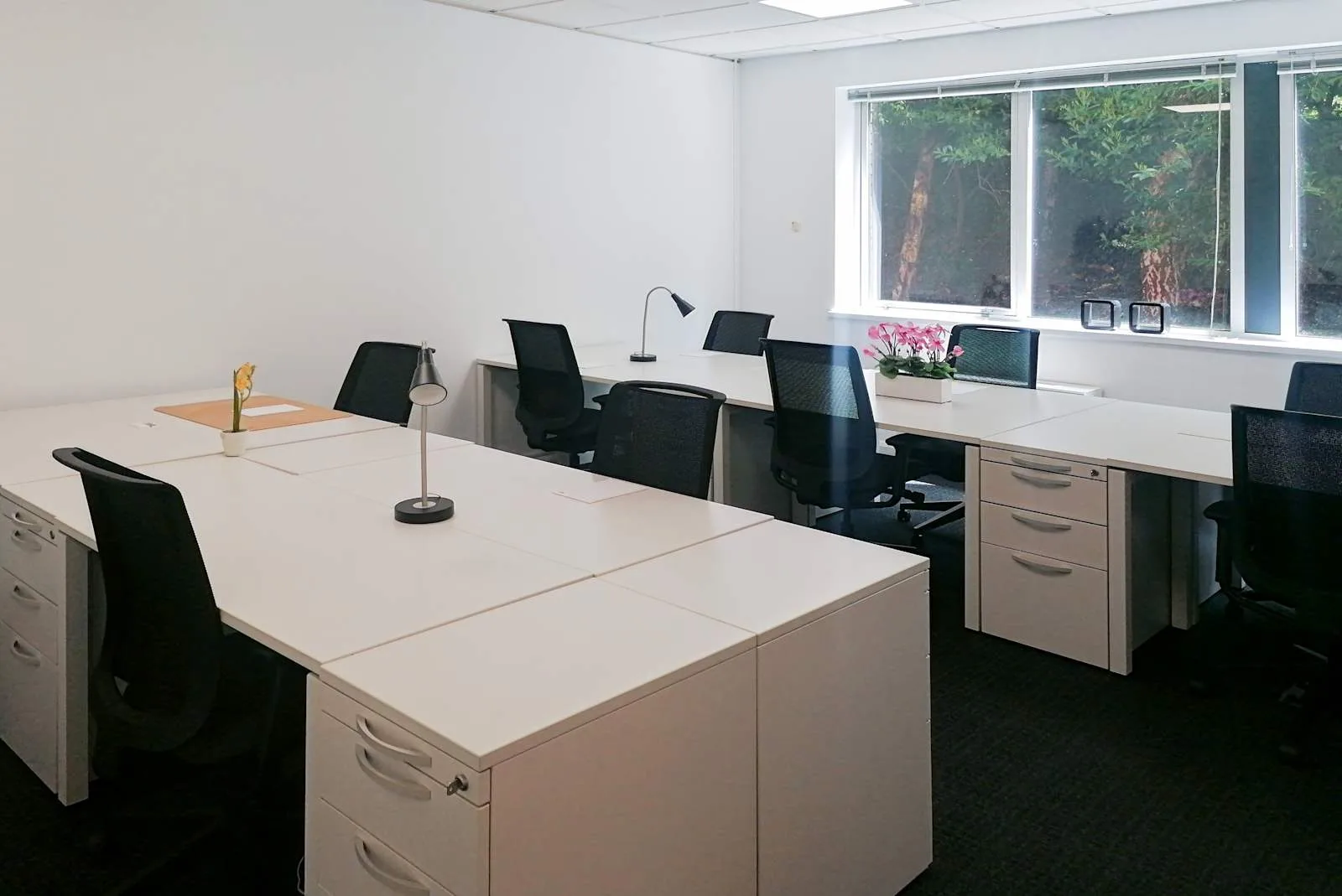 Regus EXETER, Exeter Business Park, Bureau privatif 8 postes, Exeter