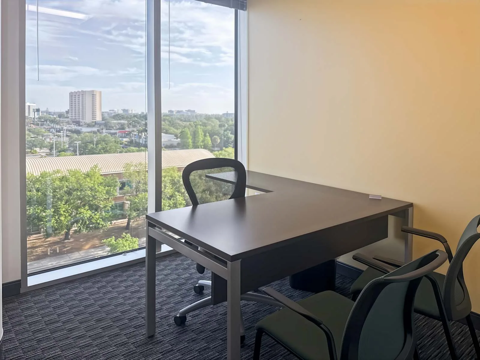 Regus FL, Tampa - One Urban Centre at Westshore, Private office, 1 desk, Tampa, FL