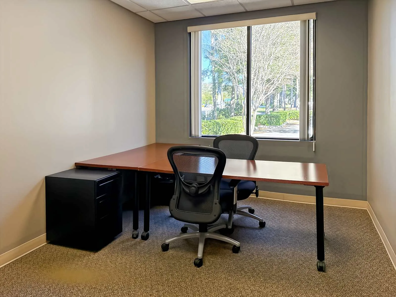 Regus FL, Tampa - Woodland Corporate Center, Private office, 2 desks, Tampa, FL