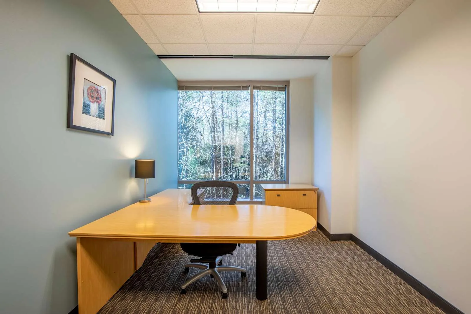 Regus GA, Alpharetta - North Point, Private office, 1 desk, Alpharetta, GA