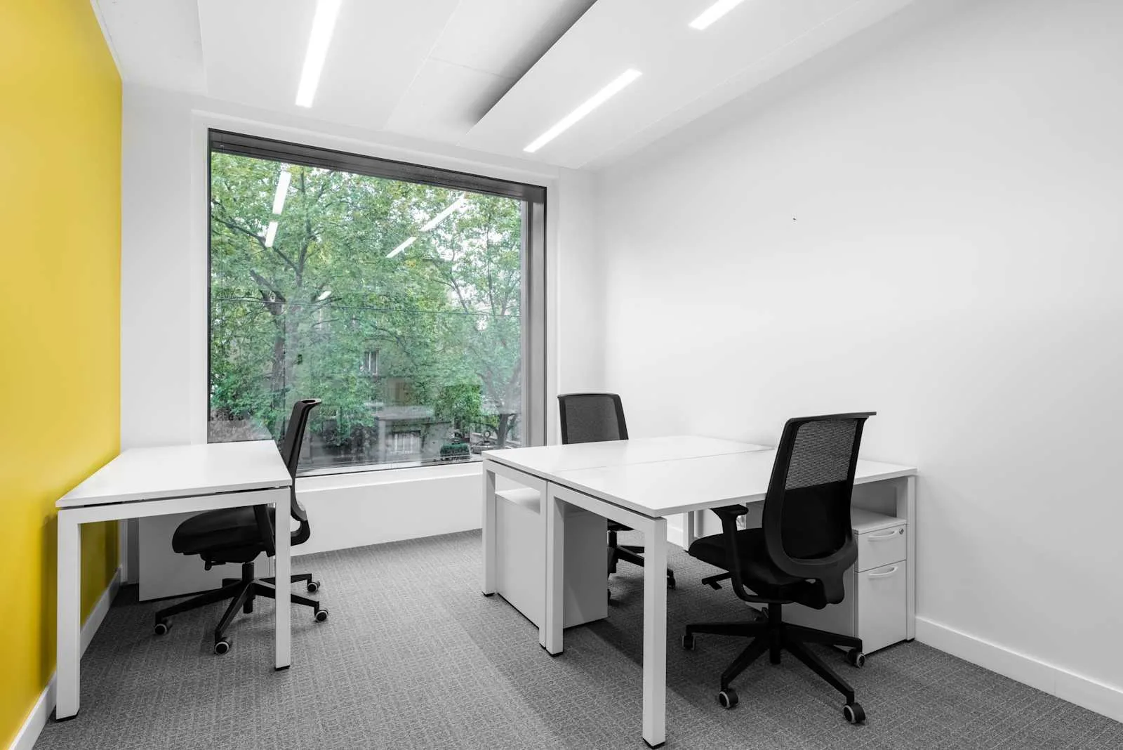 Regus GENEVA, City Centre, Ufficio privato con 3 postazioni, Ginevra