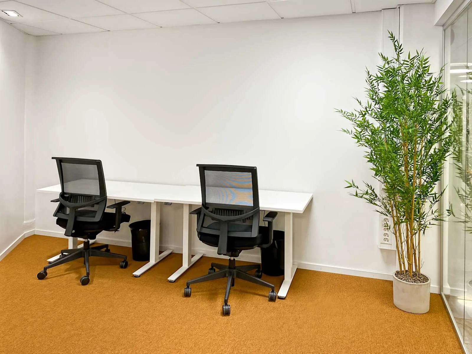 Regus Jönköping, Östra Storgatan, Private office, 2 desks, Jönköping