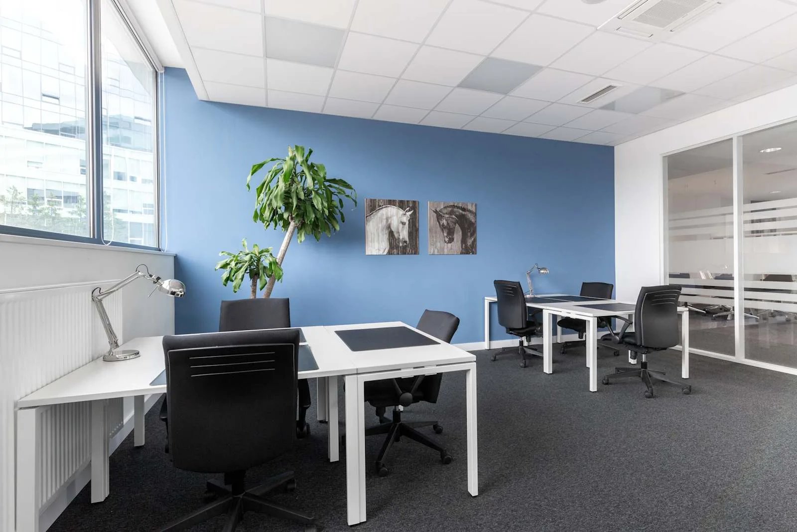 Regus KRAKOW, Graffit House, Bureau privatif 6 postes, Cracovie