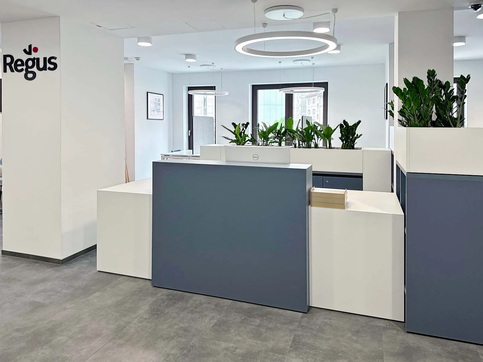 Regus Ljubljana, Schellenburg Palace, Reception, Ljubljana