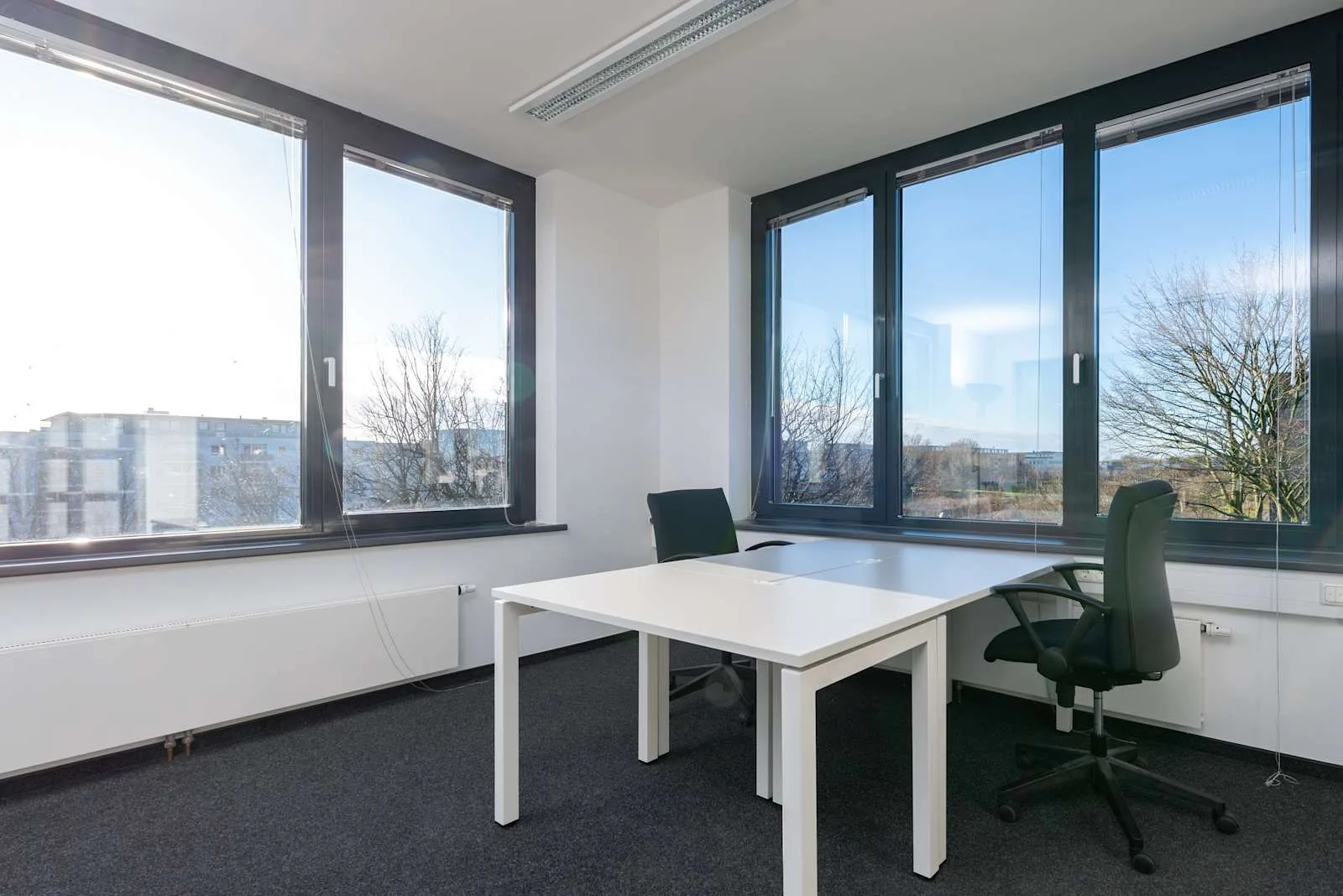 Regus LÜBECK, Universitätscampus Lübeck, Private office, 2 desks, Lübeck