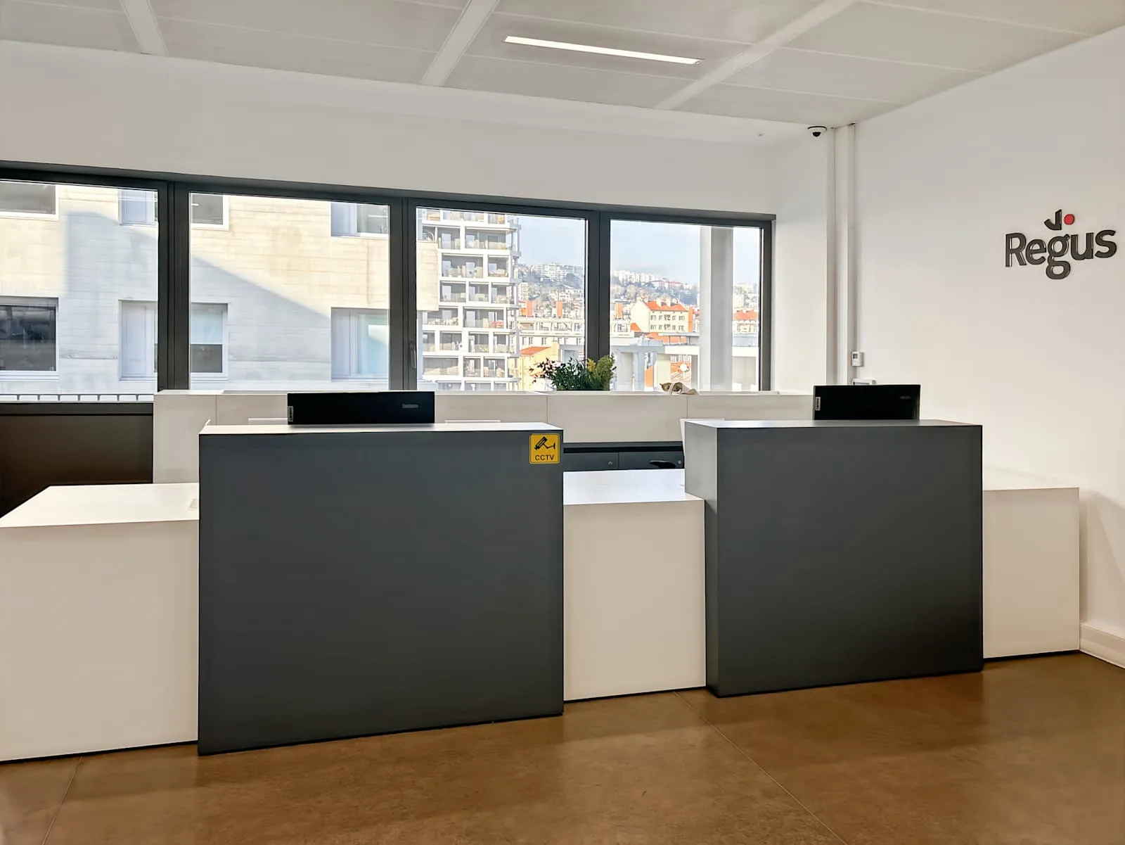 Regus Lyon, Confluence, Réception, Lyon 2e