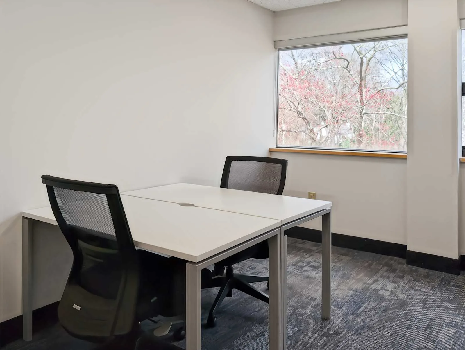 Regus MA, Framingham - Worcester Rd, Private office, 2 desks, Framingham, MA