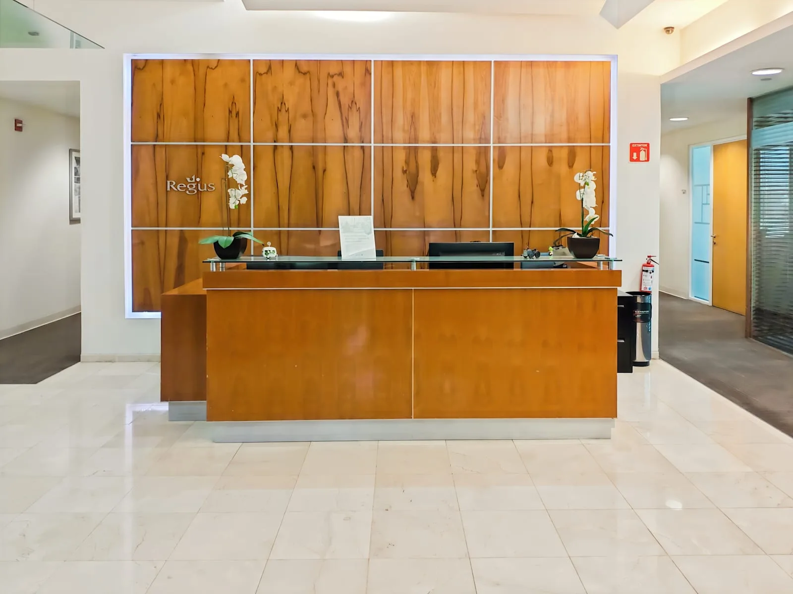 Regus MEXICO CITY, Regus Palmas Torre Esmeralda II, Reception, Mexico City