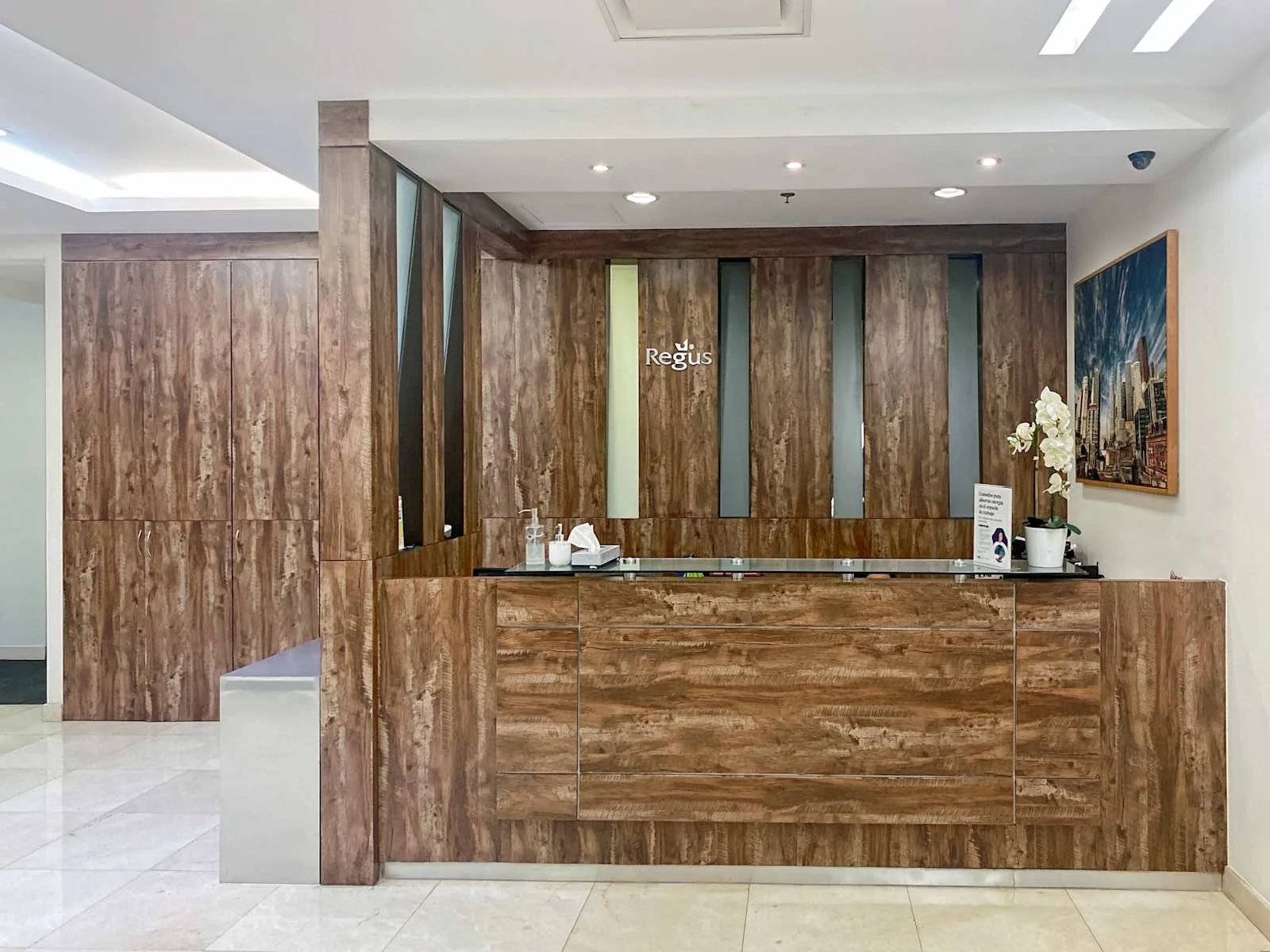 Regus MEXICO CITY, Samara Shops, Reception, Zedec