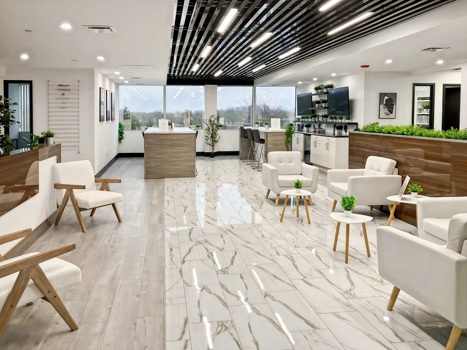 Regus MI, Southfield - Onyx Office Plaza, Lounge, Southfield, MI