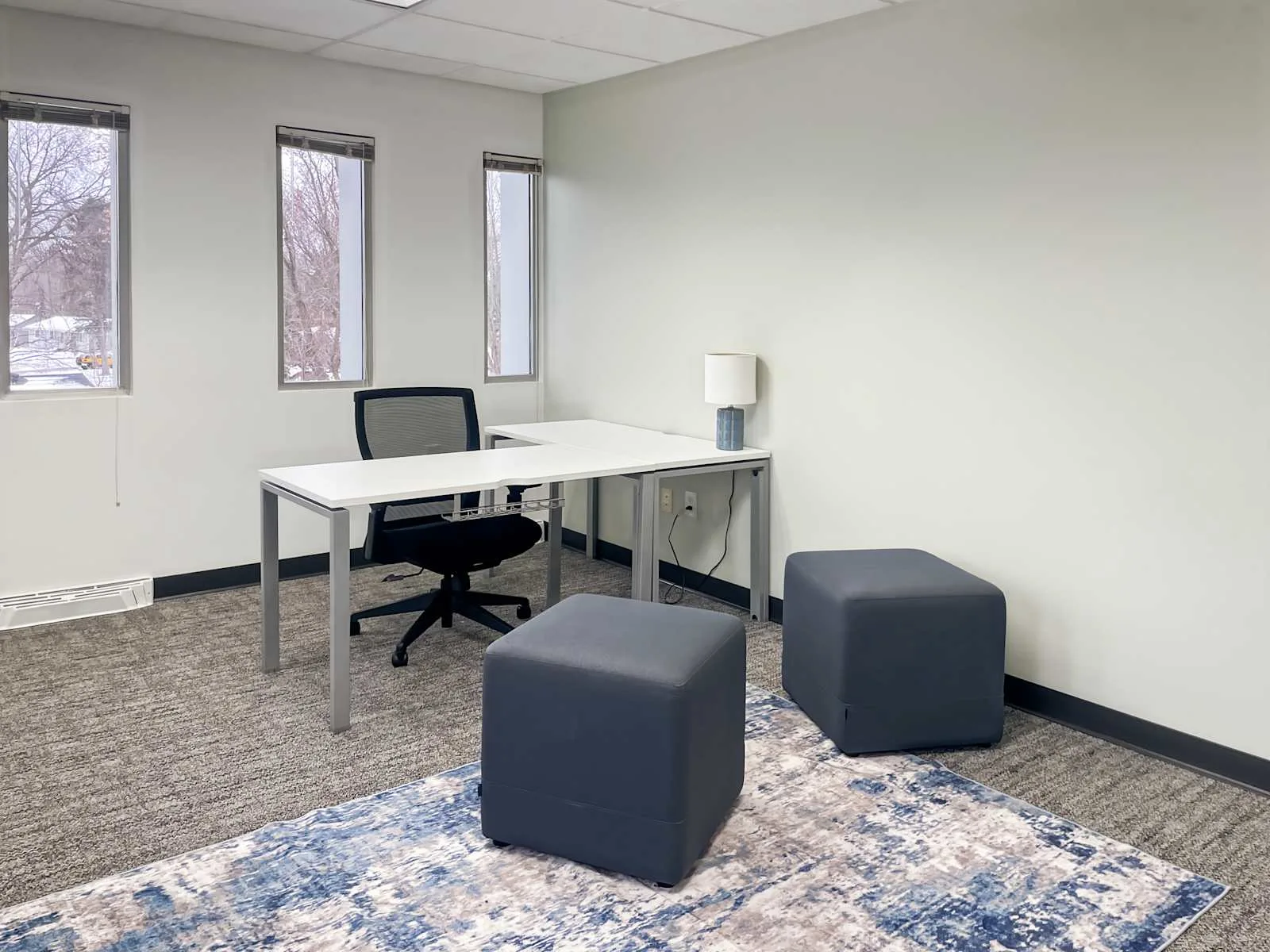 Regus MN, Woodbury - Hudson Rd, Private office, 1 desk, Woodbury, MN