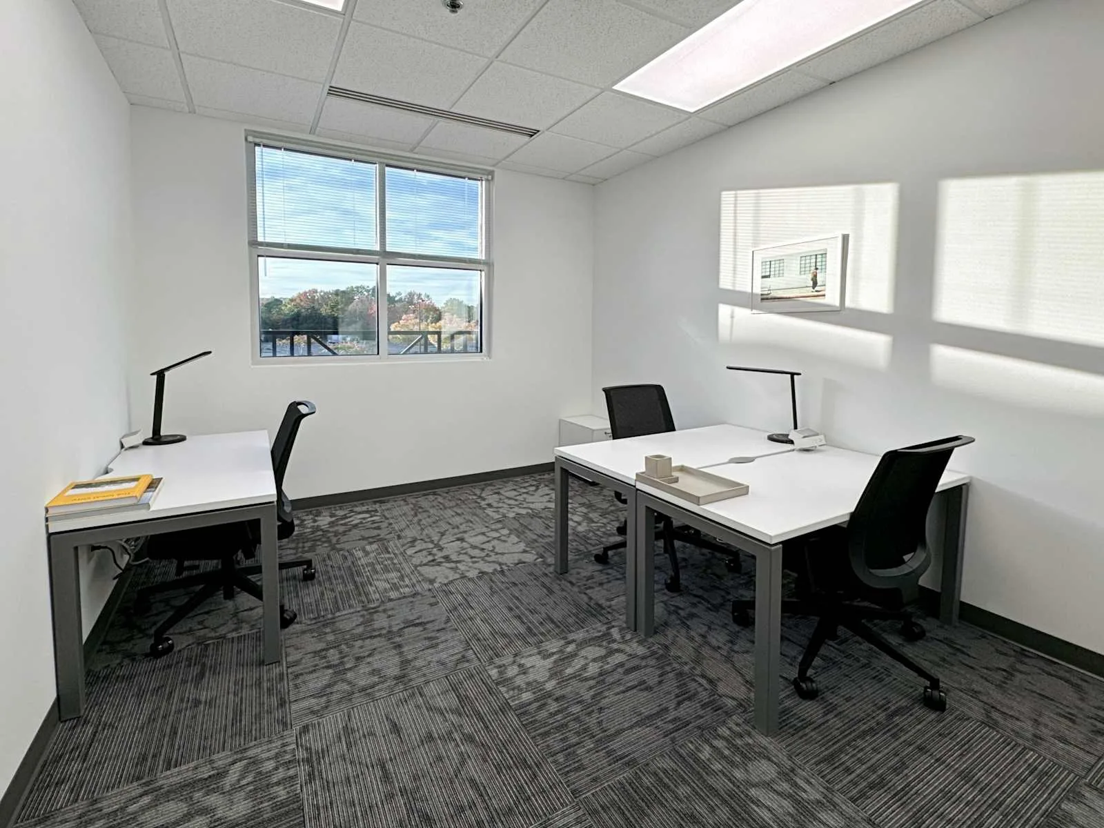 Regus NC, Chapel Hill - Governors Dr, Private office, 3 desks, Chapel Hill, NC