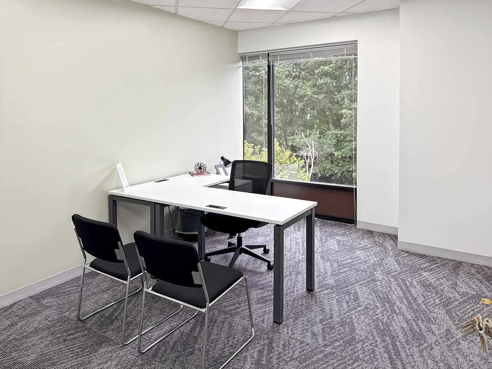 Regus NC, Raleigh - Glenwood Ave, Private office, 1 desk, Raleigh, NC