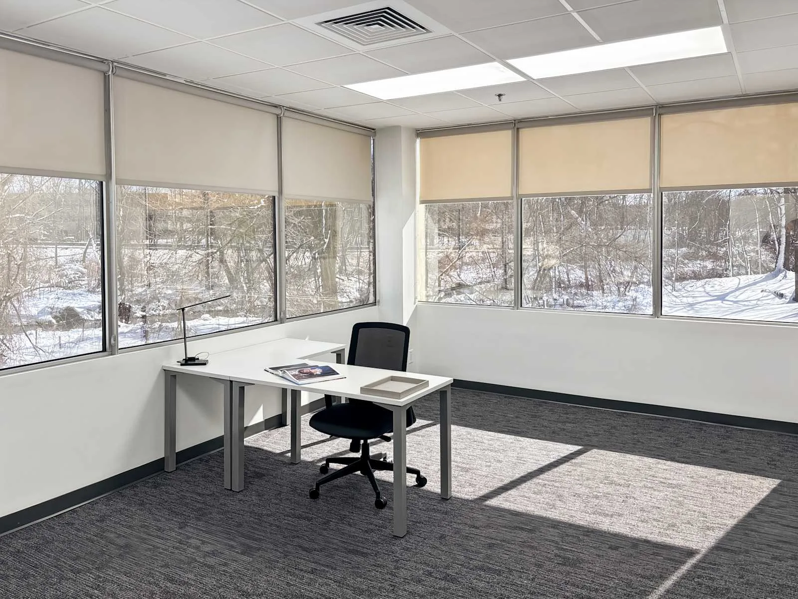 Regus NJ, Cedar Knolls - Cedar Knolls Rd, Private office, 1 desk, Cedar Knolls, NJ