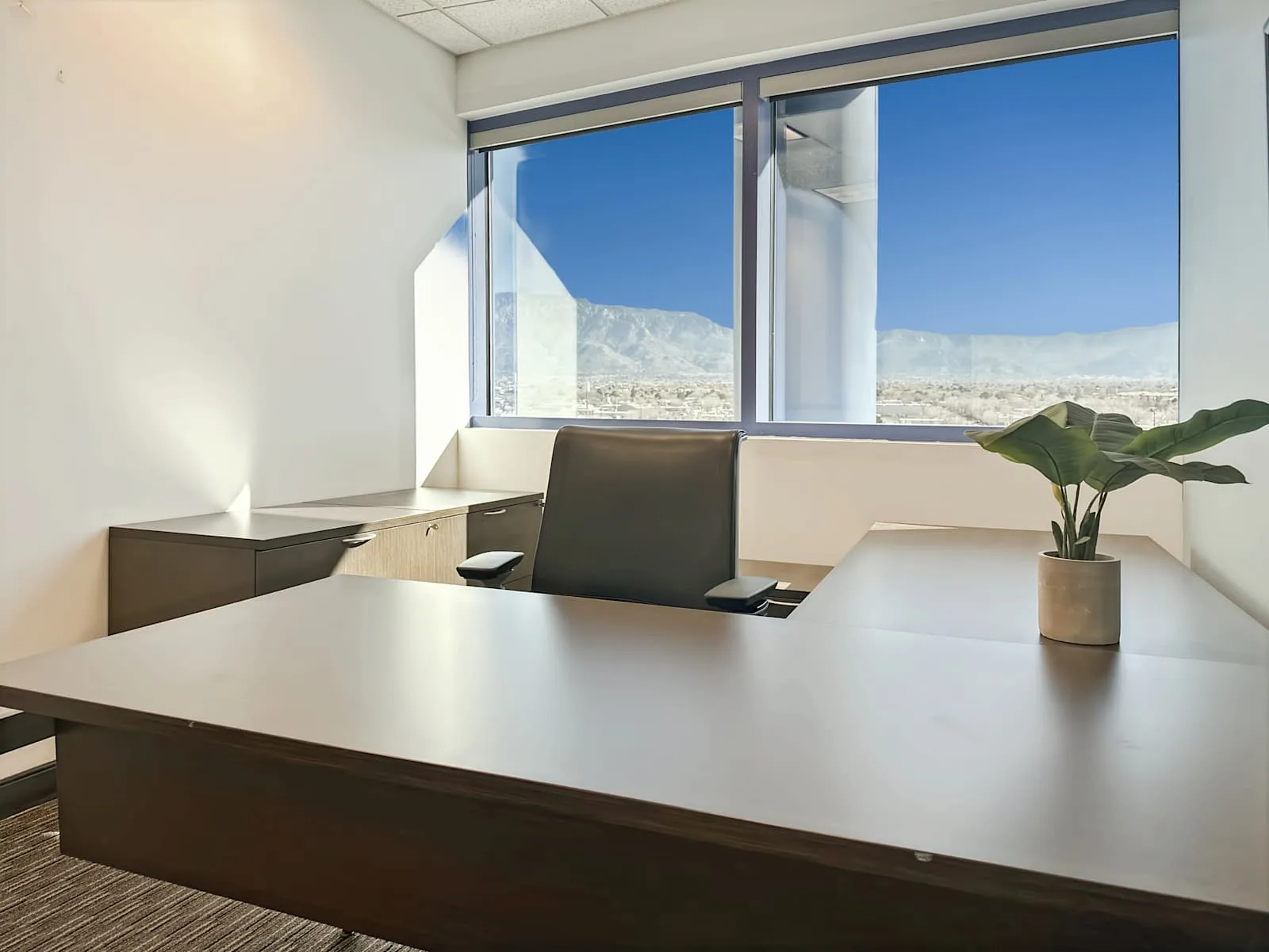 Regus NM, Albuquerque - One Sun Plaza, Private office, 1 desk, Albuquerque, NM