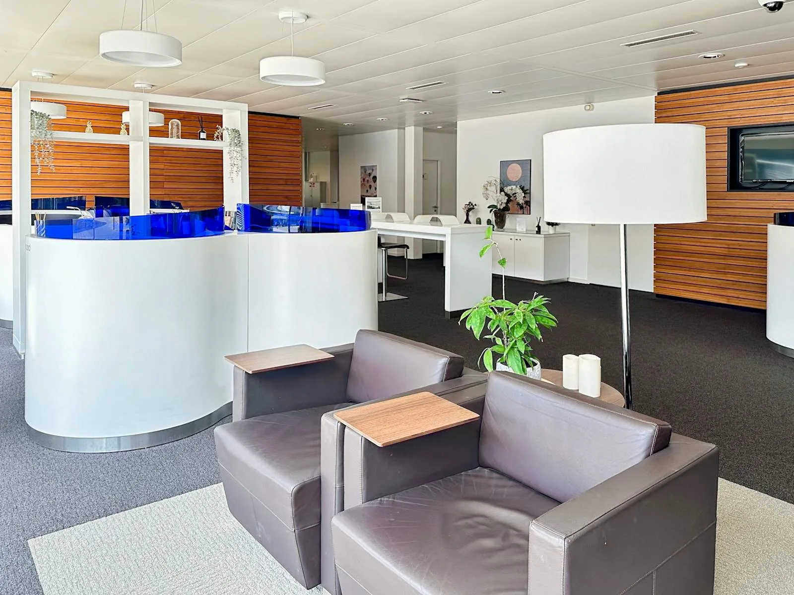 Regus NYON, Business Park, Lounge, Eysins