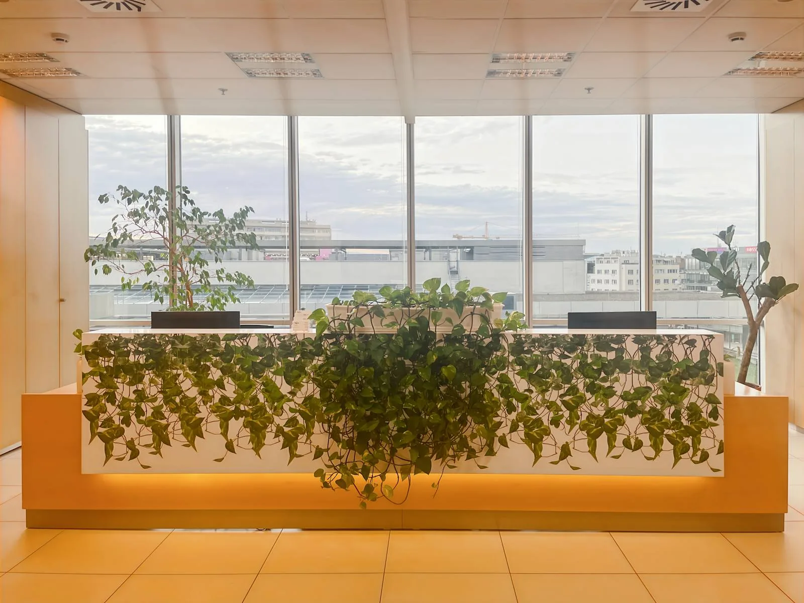 Regus PRAGUE, Empiria, Reception, Prague