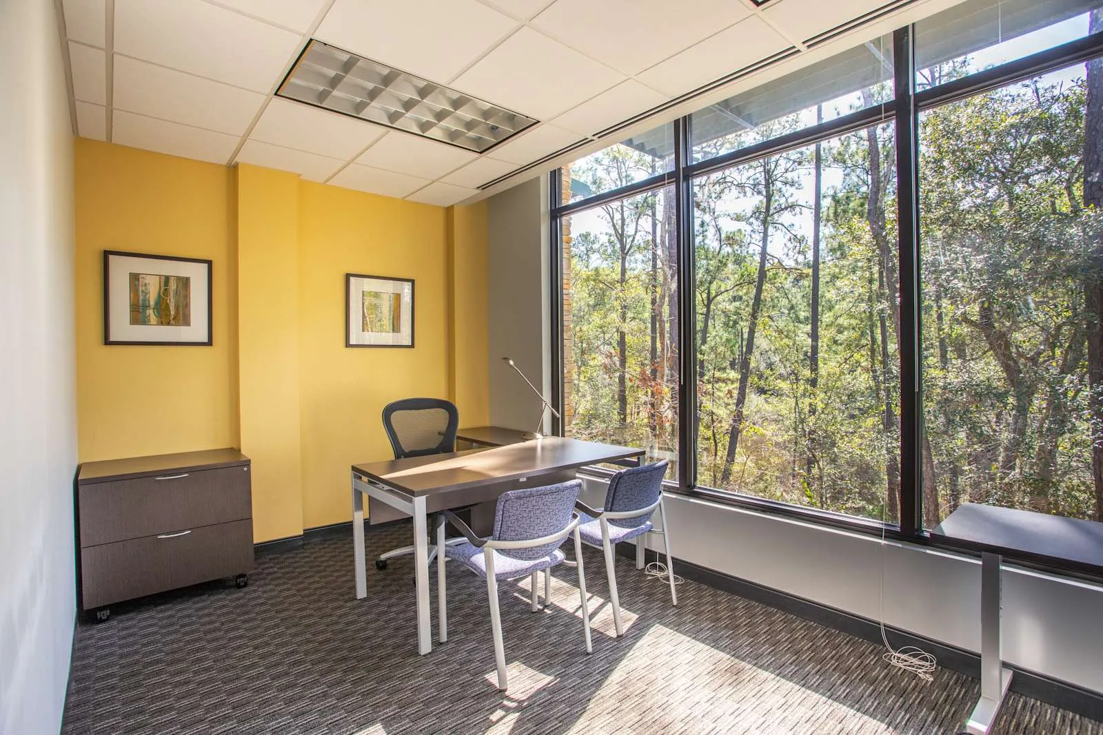 Regus SC, Bluffton - Hilton Head, Private office, 1 desk, Bluffton, SC
