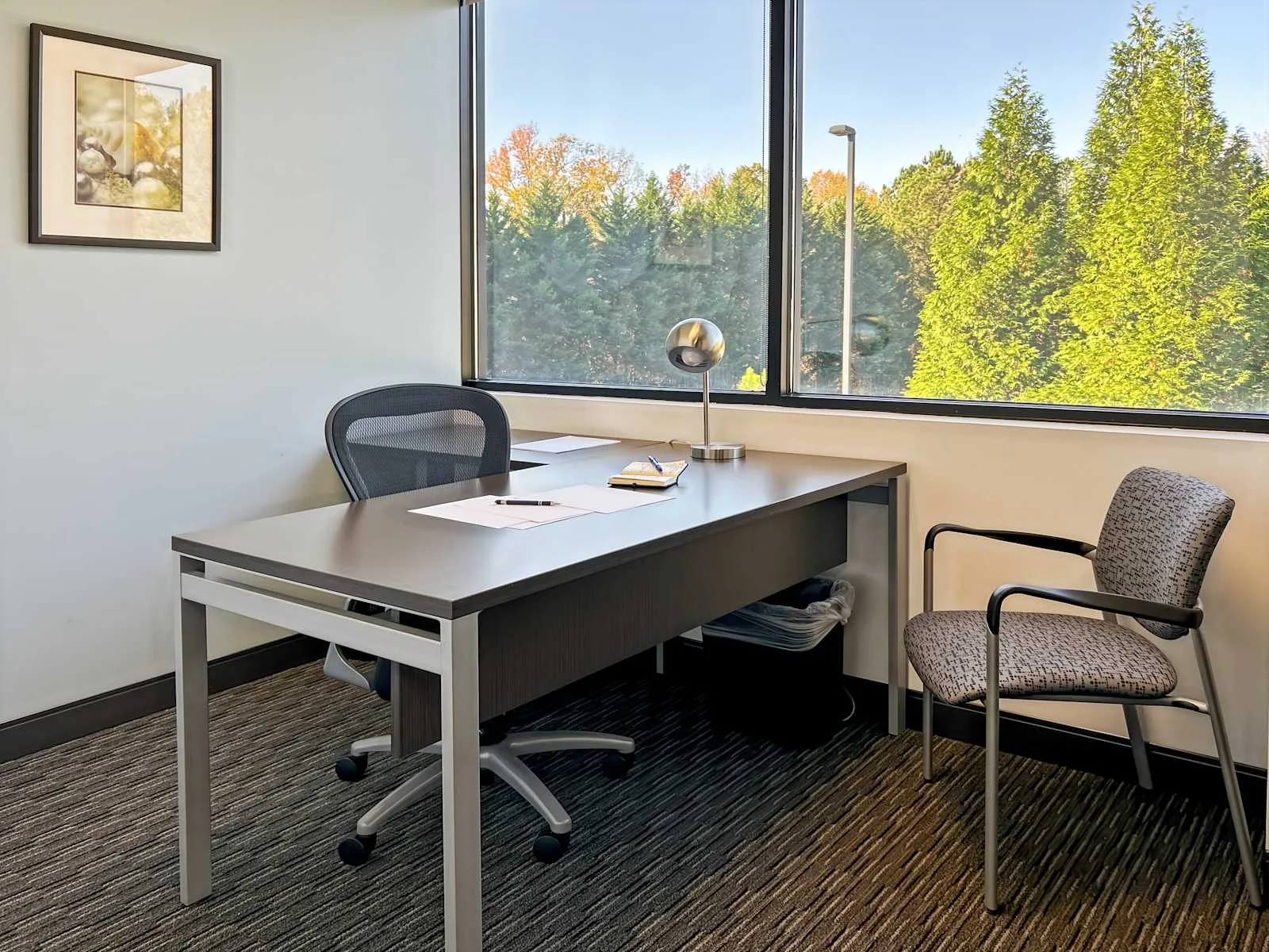 Regus SC, Greenville - Millport at Butler, Private office, 1 desk, Greenville, SC