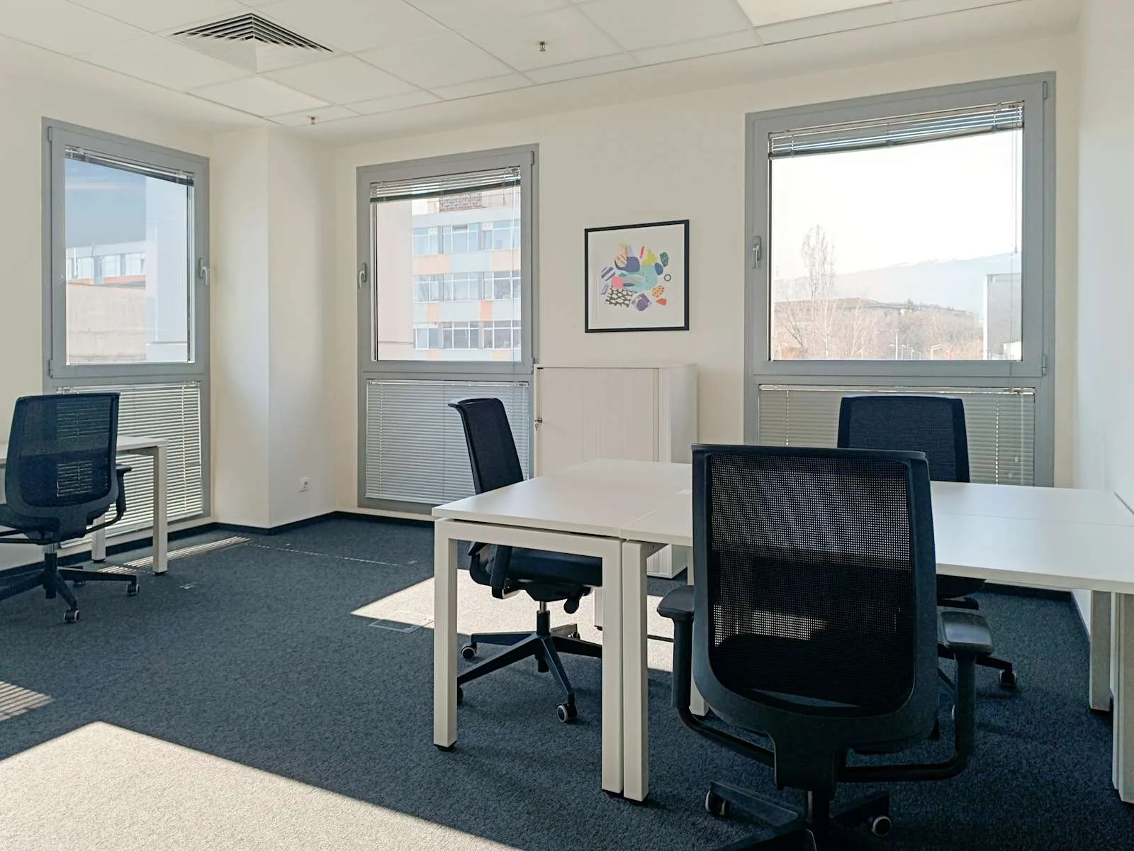 Regus Sofia, BSR 1 (EUR), Private office, 5 desks, Sofia