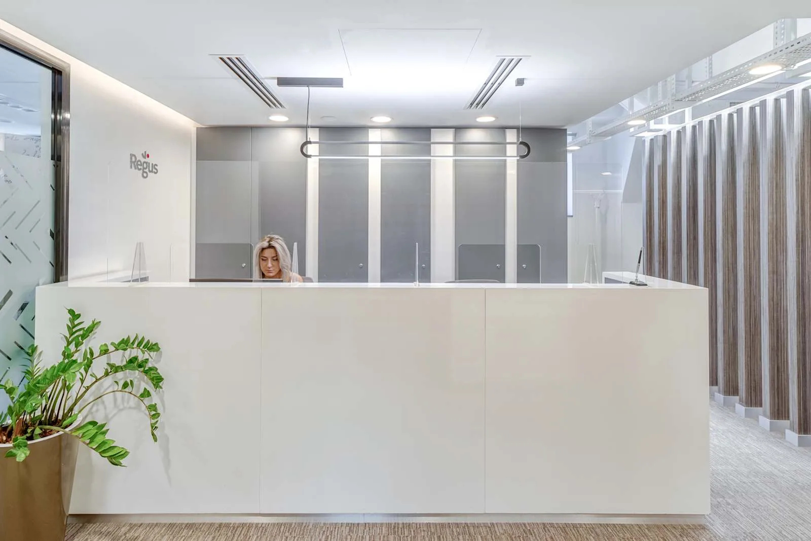 Regus TBILISI, Freedom Square, Reception, Tbilisi