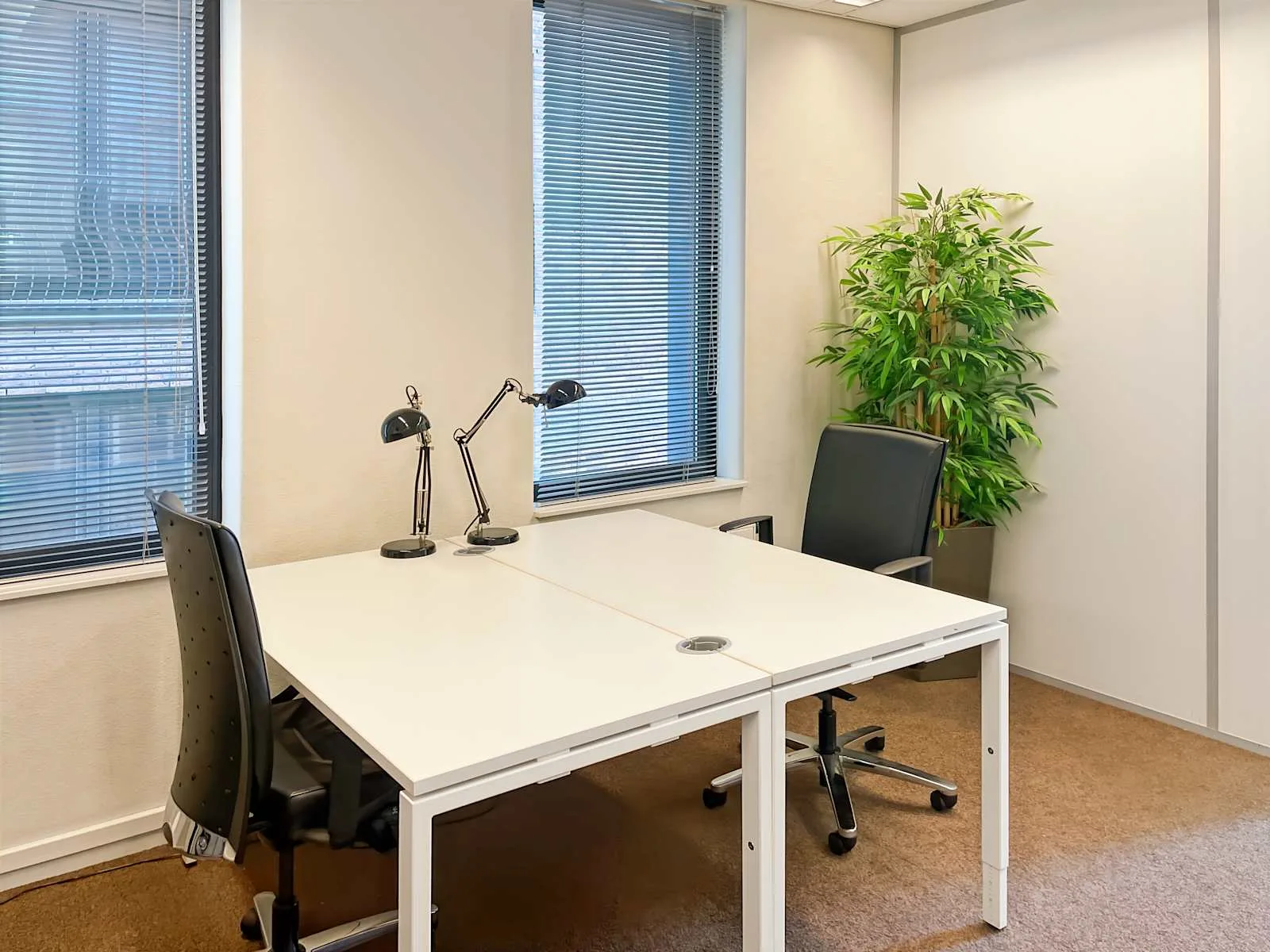 Regus TILBURG, Central Station, Private office, 2 desks, Tilburg
