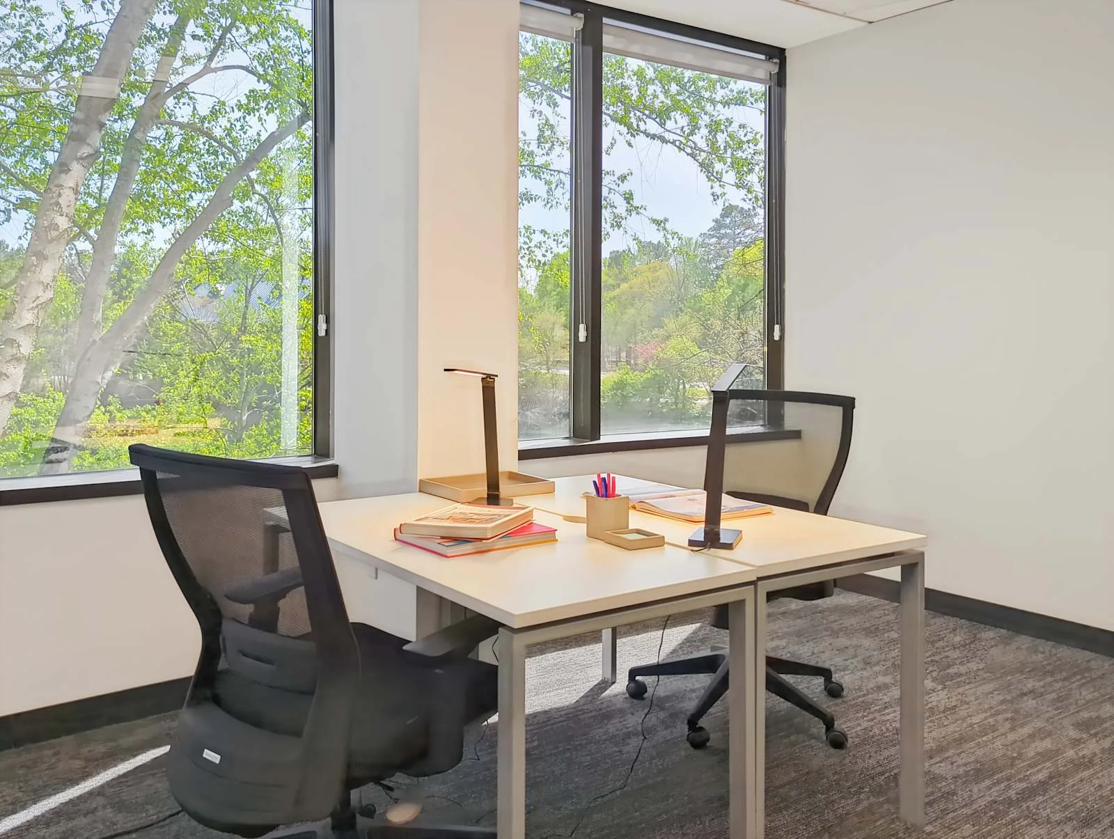Regus VA, Richmond - Forest Hill Avenue, Private office, 2 desks, Richmond, VA